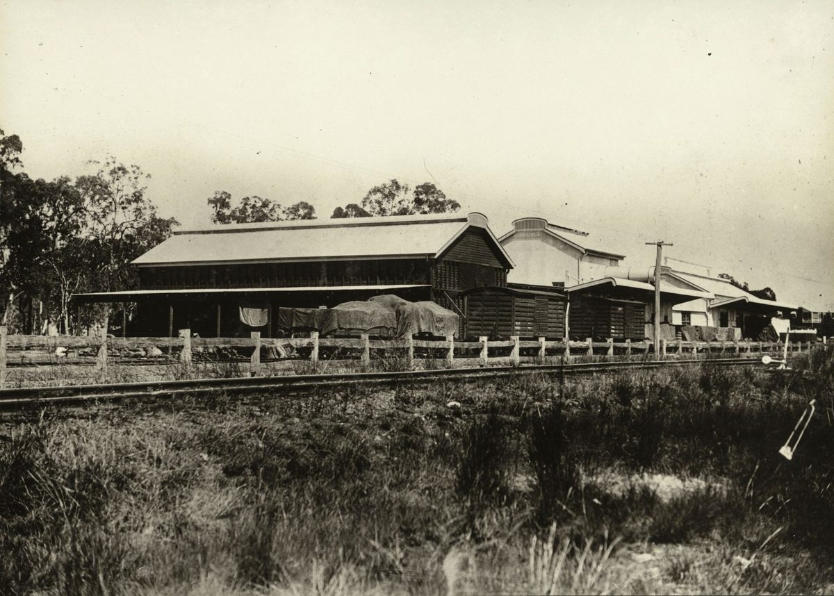 Ginnery at Whinstanes, Brisbane (1922)