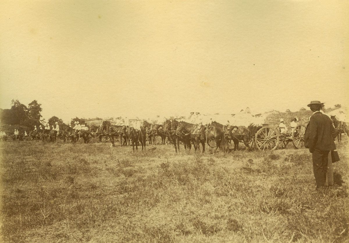 Parade of military artillery at the Domain during Commonwealth Day celebrations, Brisbane, 1901, Brisbane City