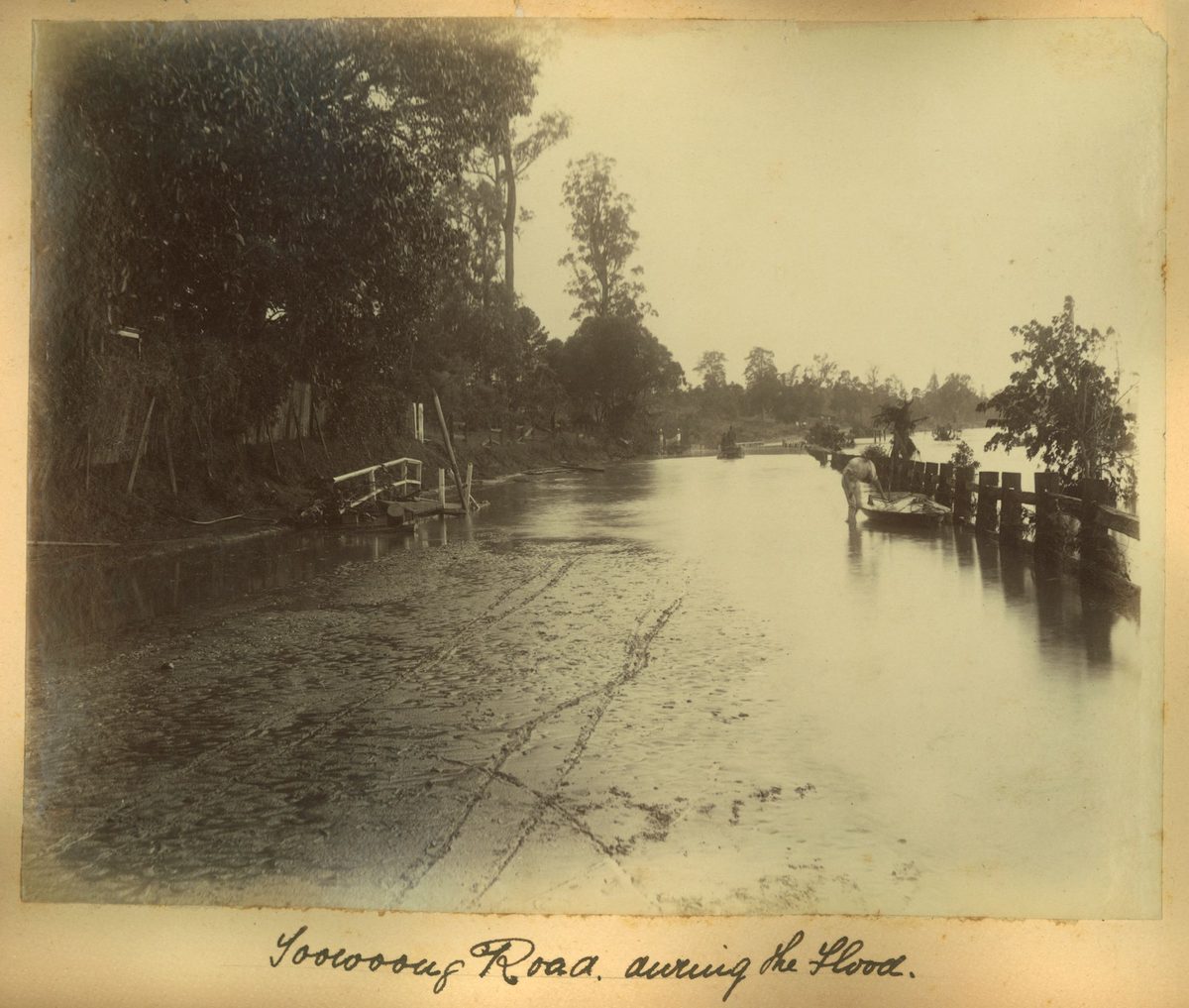 Toowong Road during the flood, Brisbane, 1893