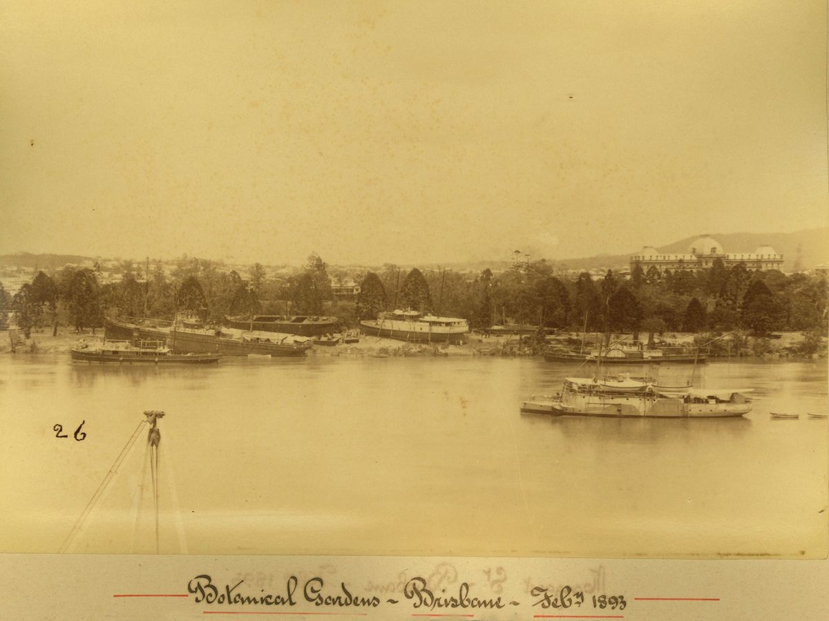 Stranded boats on edge of the Botanic Gardens, Brisbane (1893)