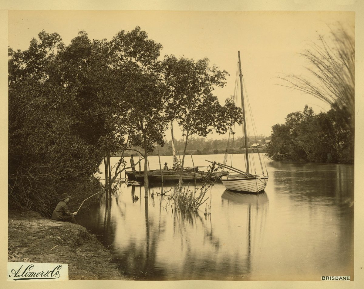 Reflections in the creek, Breakfast Creek, Brisbane, 1889