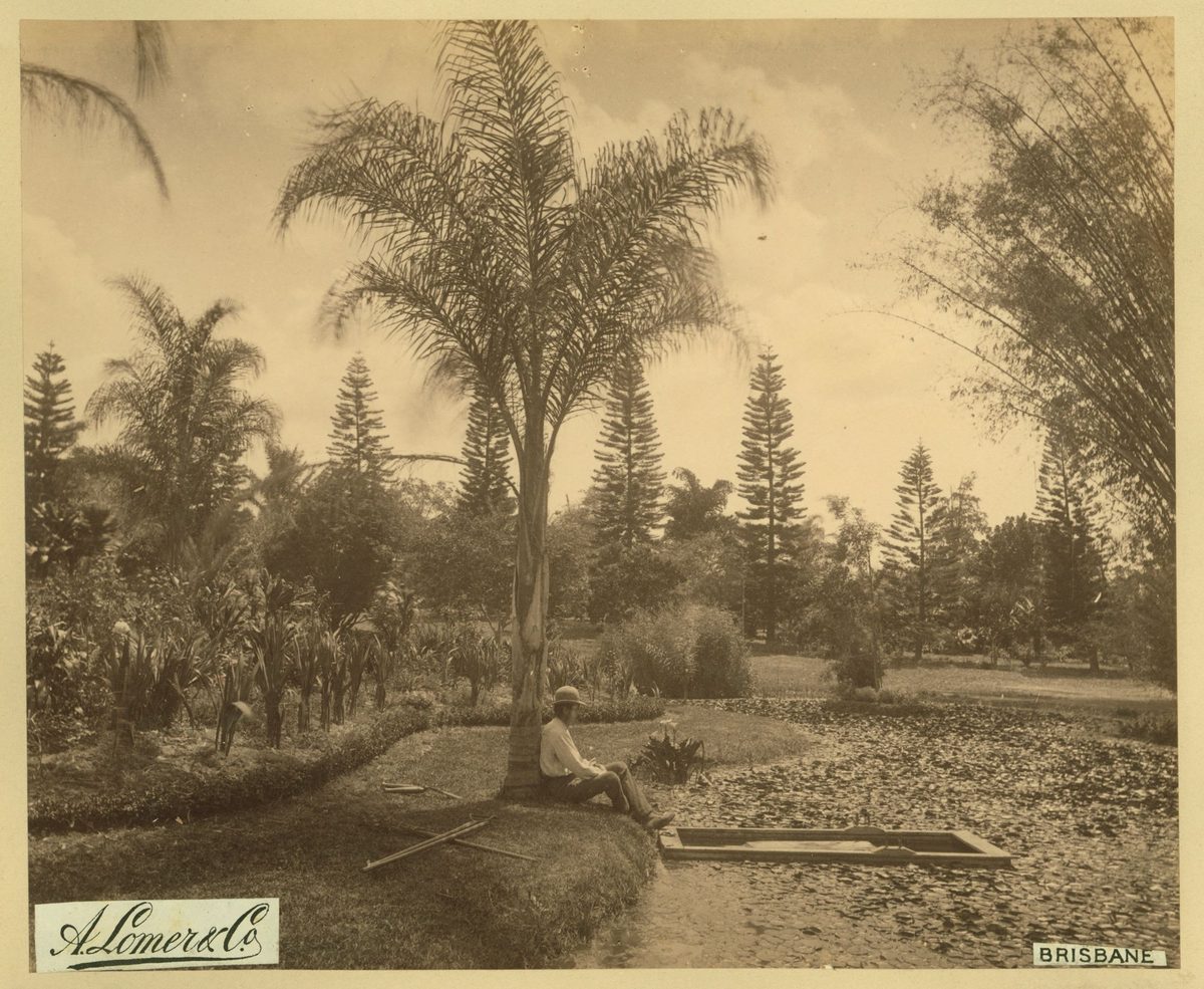 Taking a rest in the Acclimatisation Garden, Brisbane, 1889
