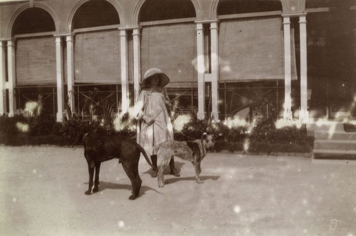 Joan Thesiper, daughter of Governor Chelmsford, pictured with her dogs in the grounds of Government House, Brisbane, 1907, Brisbane City