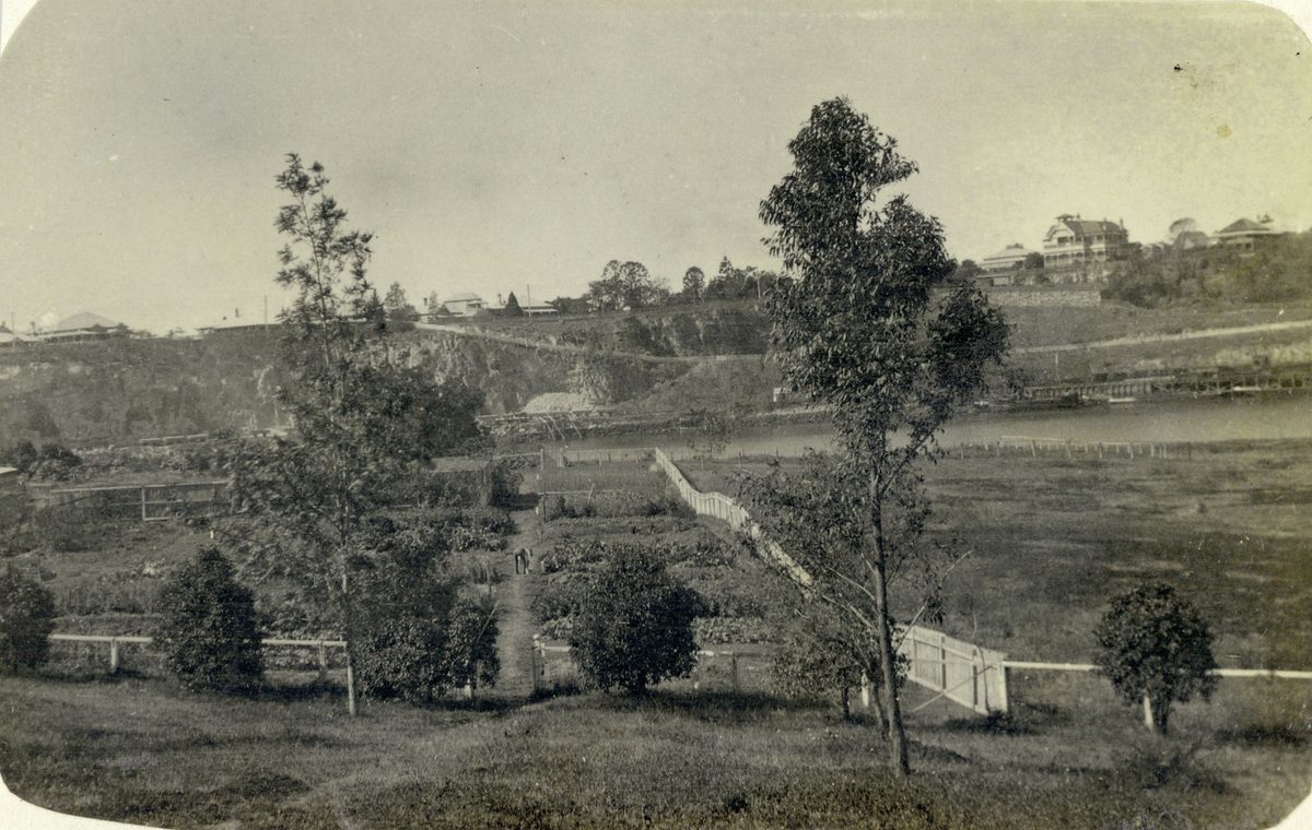 Kitchen garden at Government House, Brisbane, August 1908, Brisbane City
