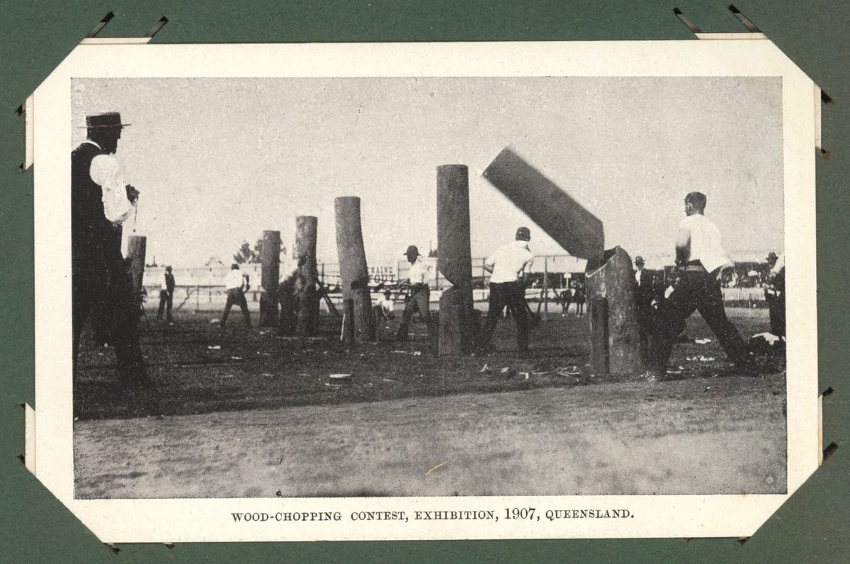 Cut clean through, wood chopping competition at the Exhibition, 1907, Brisbane