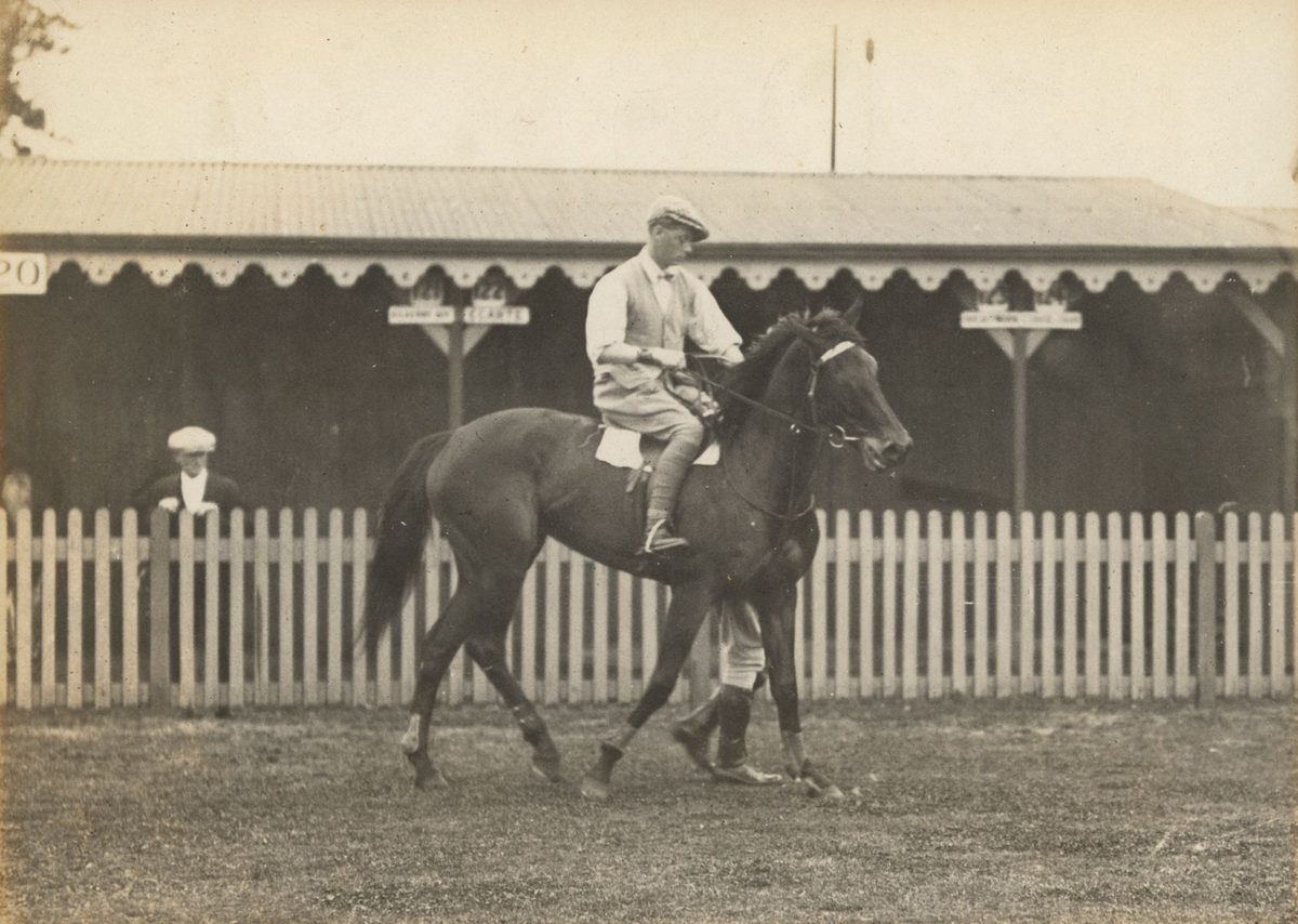 Edward, Prince of Wales on a racehorse in Brisbane Queensland, Ascot (1920)