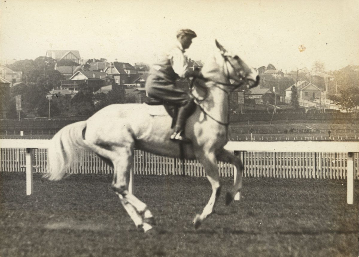 Prince of Wales taking a thoroughbred out at the Ascot Racecourse, Brisbane, 1920