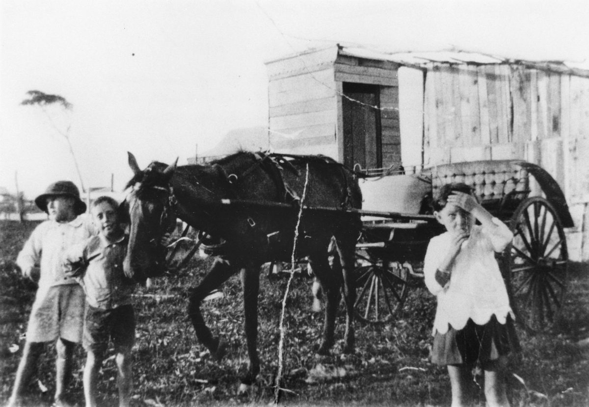 Three young children with a horse and buggy, Cribb Island, 1925