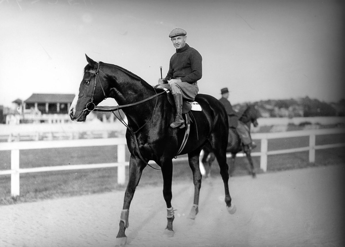 Champion racehorse, St. Constant, on the training track, 1940, Brisbane
