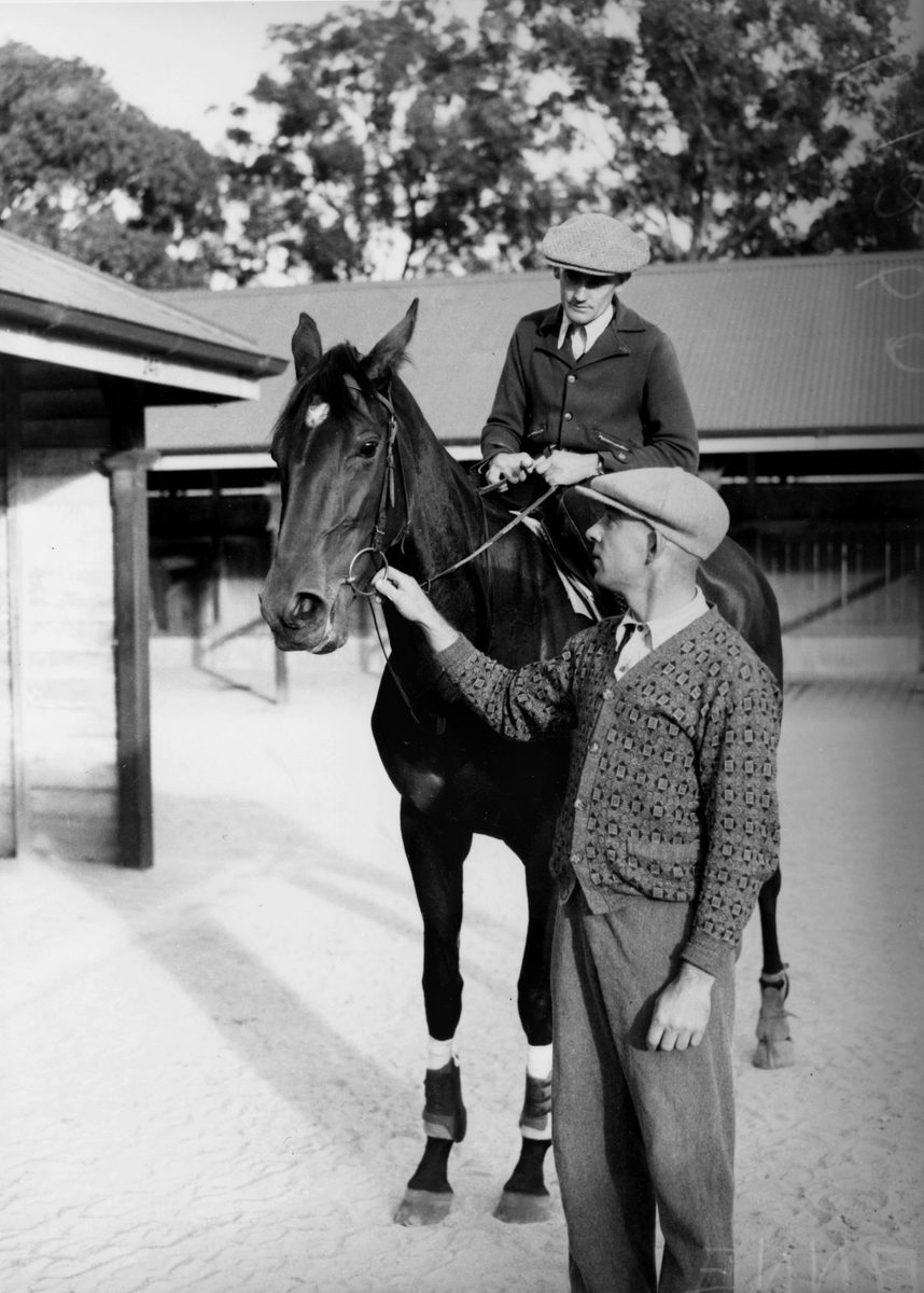 Horse, jockey and groom at the stables at Eagle Farm Racecourse, 1940