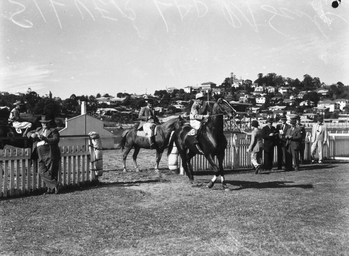 Silver Lad coming back to scale after winning a race at Albion Park, 1945