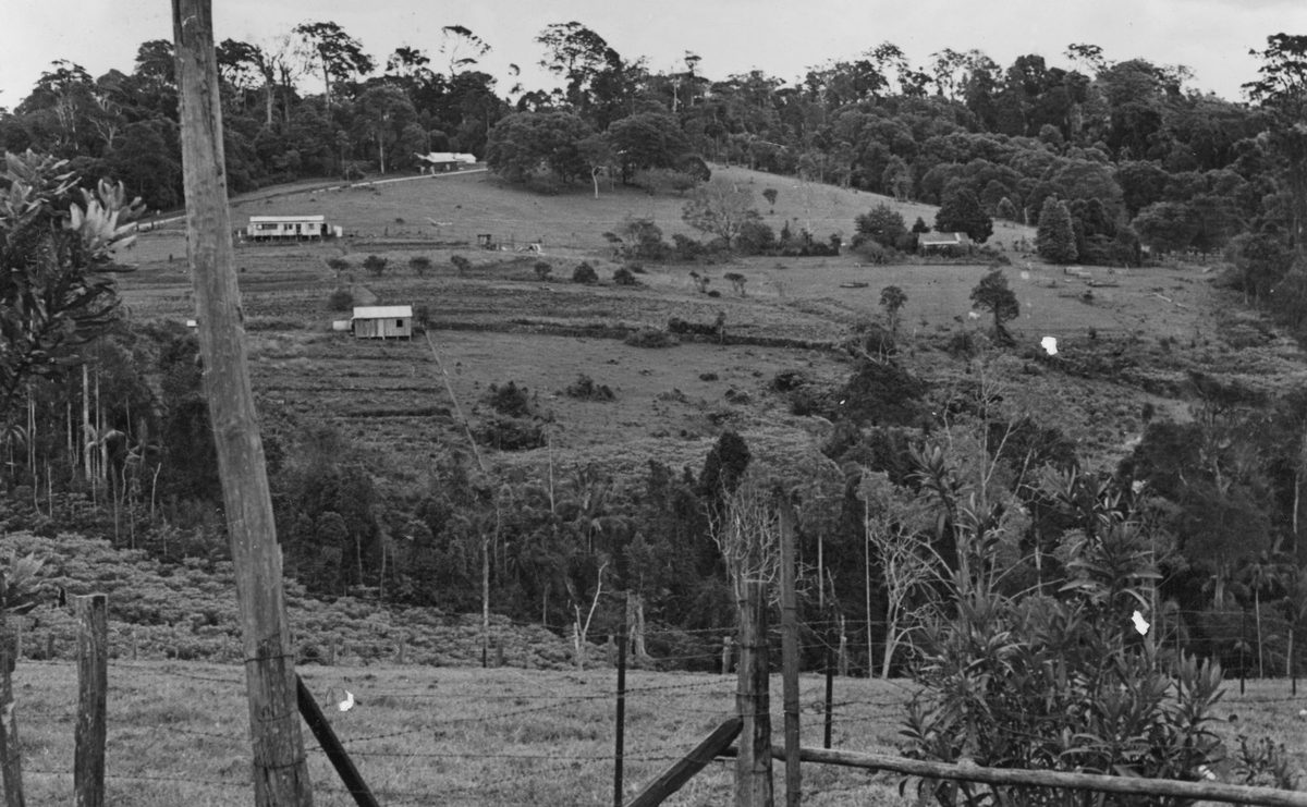 Properties dotted on the hillside in the Mount Glorious vicinity, 1952
