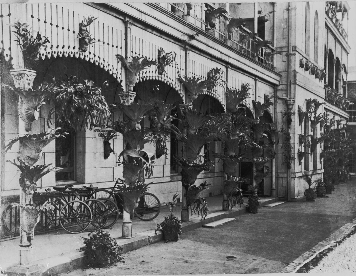 Lands and Works Offices, Brisbane, 1904