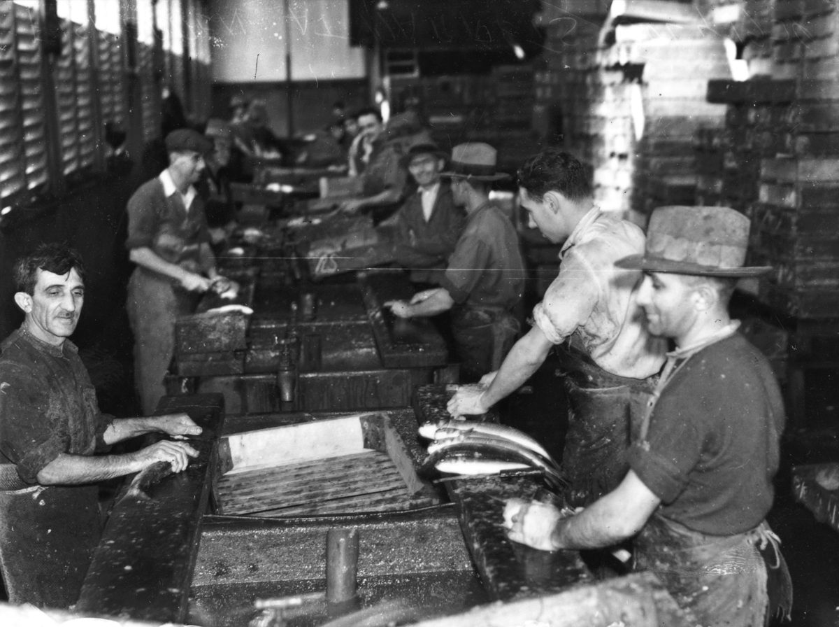 Working at the fish markets, Brisbane, 1936