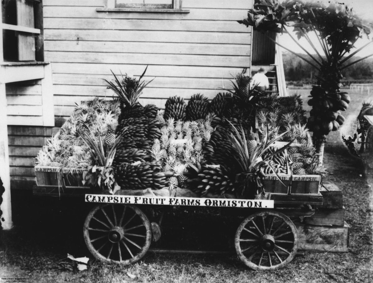 Show exhibit for Campsie Fruit Farms at Ormiston, 1914, Ormistion