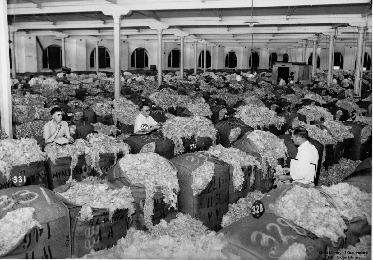 Wool buyers assessing fleece quality before the opening of the Brisbane wool sales, 1938