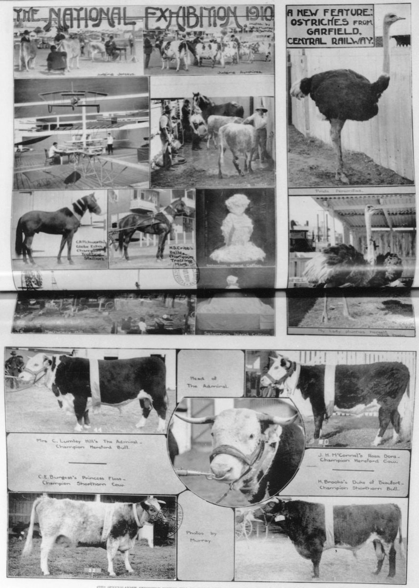 Collage of images from the National Exhibition, Brisbane, 1910