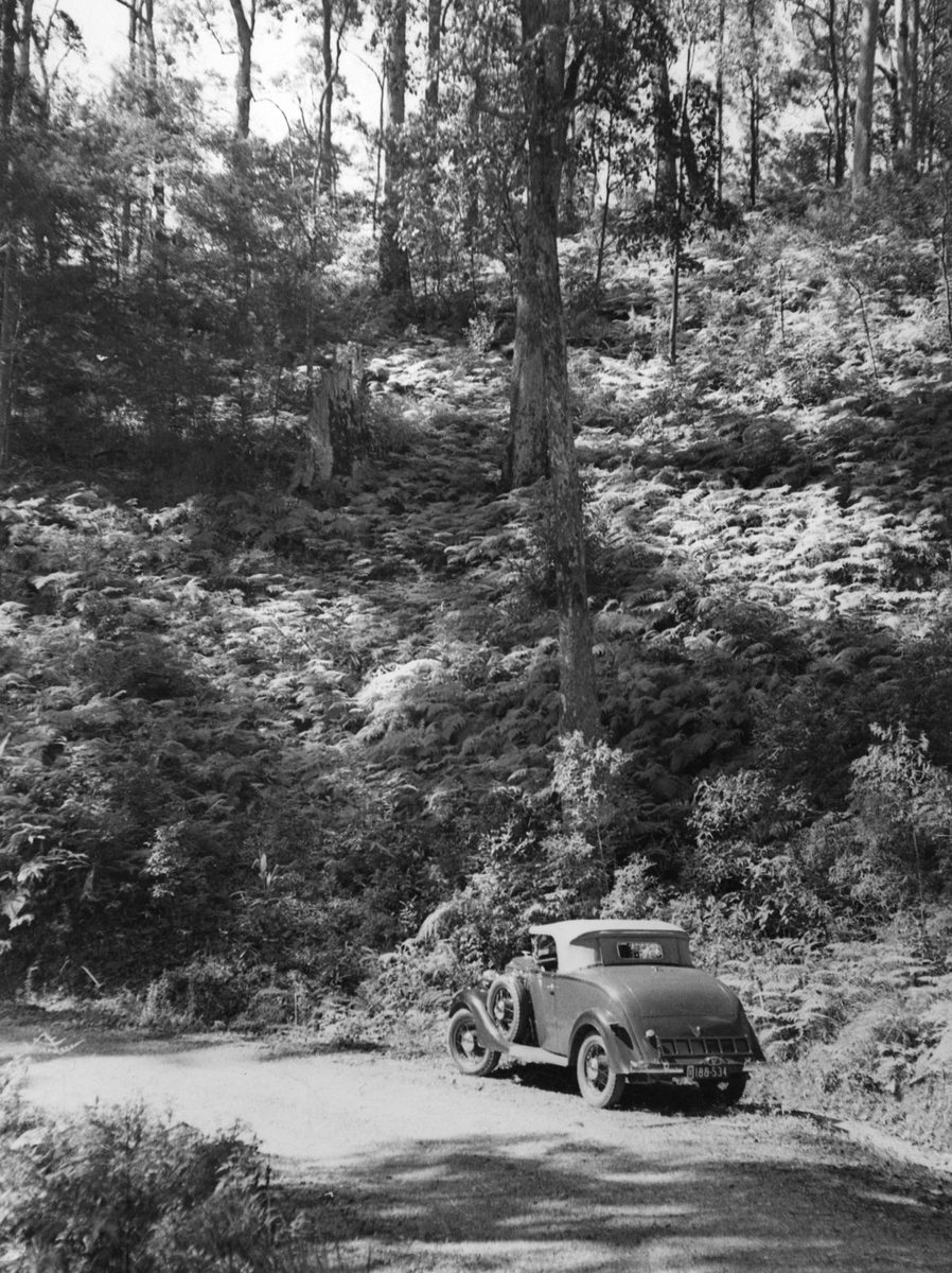 Convertible roadster on the Mt Glorious Road, Queensland, October, 1935
