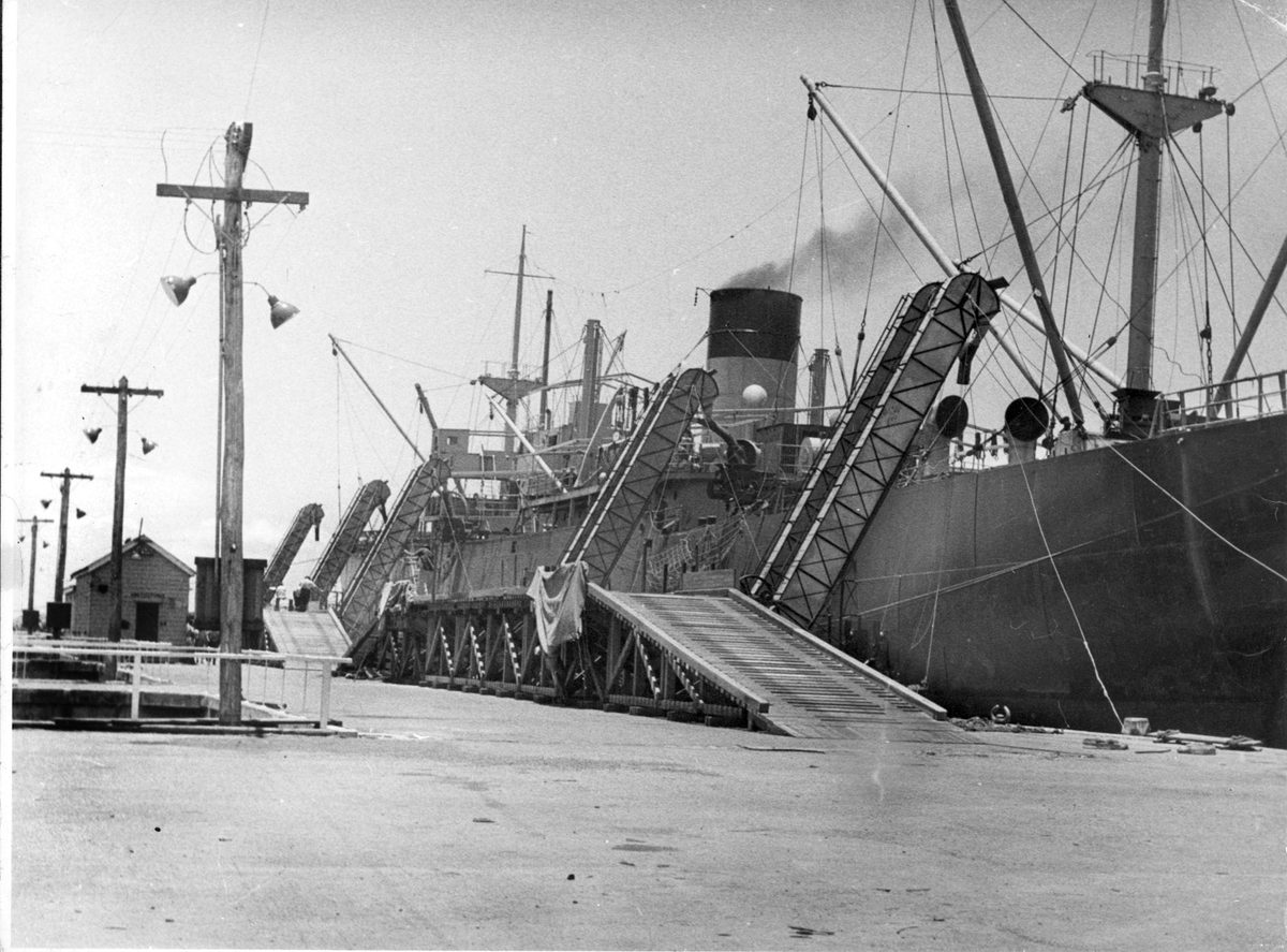 Ship, King David, loading bulk wheat at Pinkenba Wharf, 1953