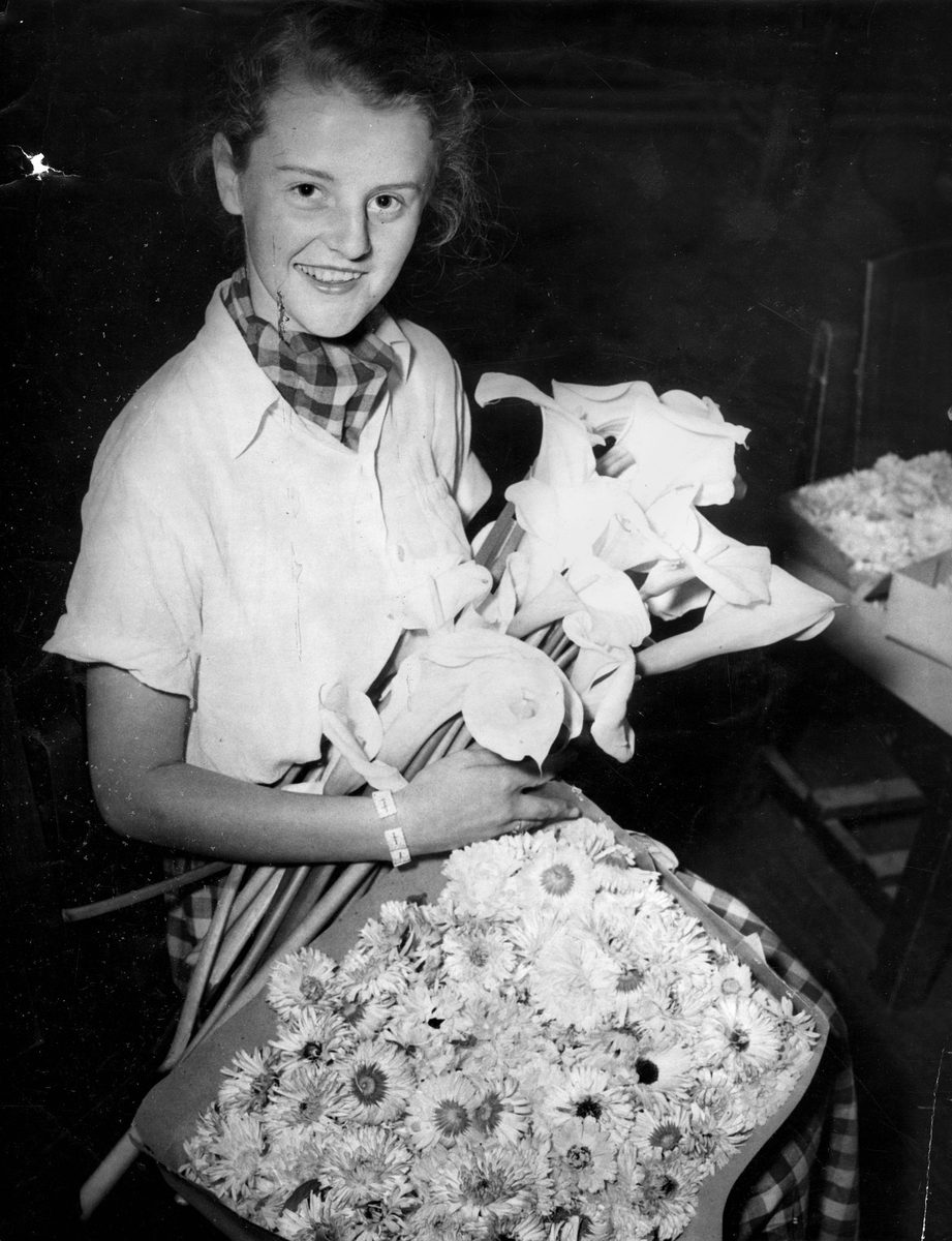 Chelsea Flower Show volunteer with some of the beautiful flowers for the show at City Hall, Brisbane, 1953, Brisbane City