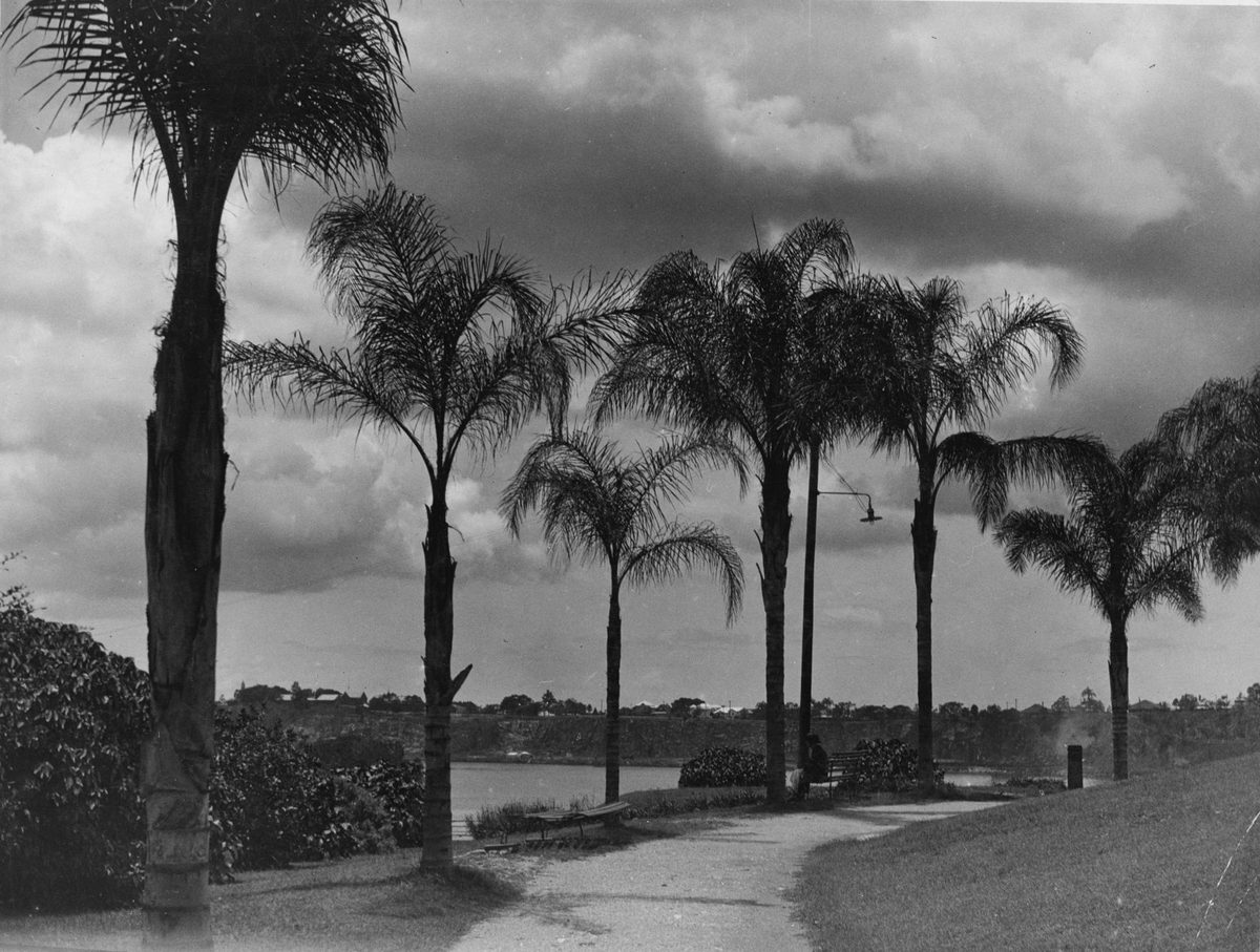 Memorial Park in Vulture St, South Brisbane, 1936