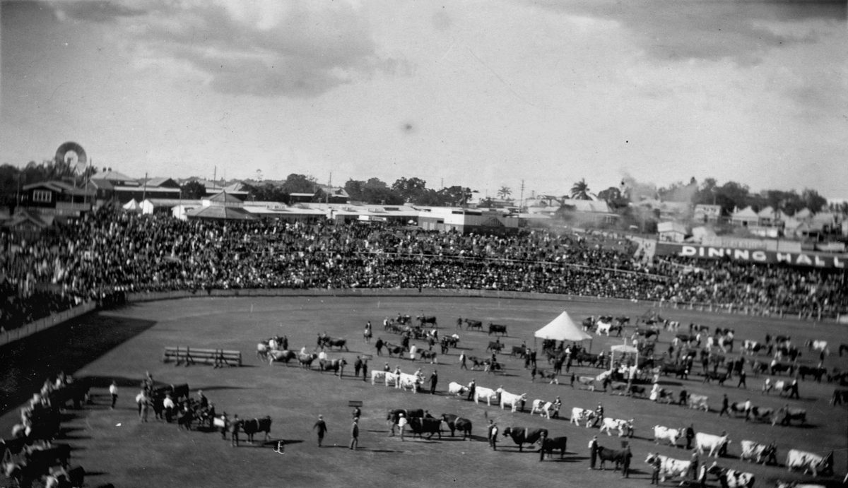 Crowds surround the main arena to watch the Grand Parade, Exhibition Ground, Brisbane, 1914, Bowen Hills
