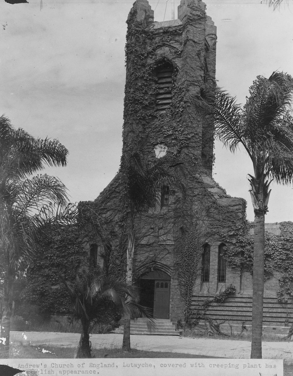 Creeping plant covers St. Andrew's Church of England at Lutwyche, 1949