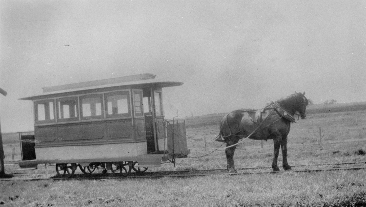 Horsedrawn tram on St. Helena Island, 1928, St Helena Island