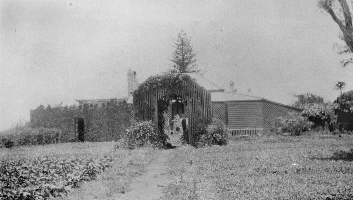Garden of the old superintendant house, St. Helena, 1928, St Helena Island