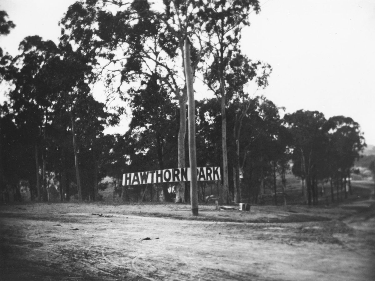 Hawthorn Park estate off Waterworks Road, Ashgrove, Brisbane, 1925