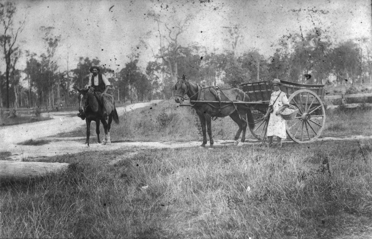 Mail delivery on the corner South Pine Road and Gordon Parade, at Everton Park, 1910