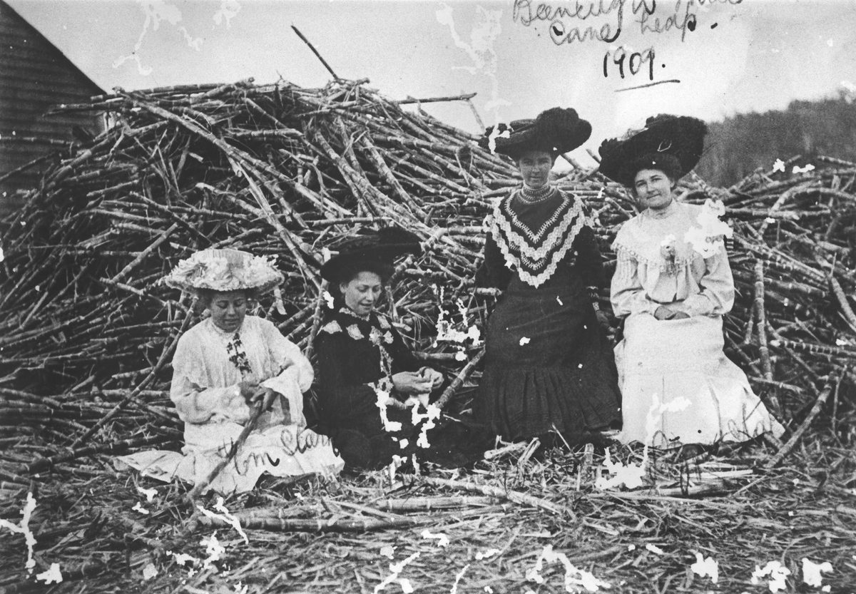 Women sitting in front of a sugar-cane heap, 1909, Beenleigh