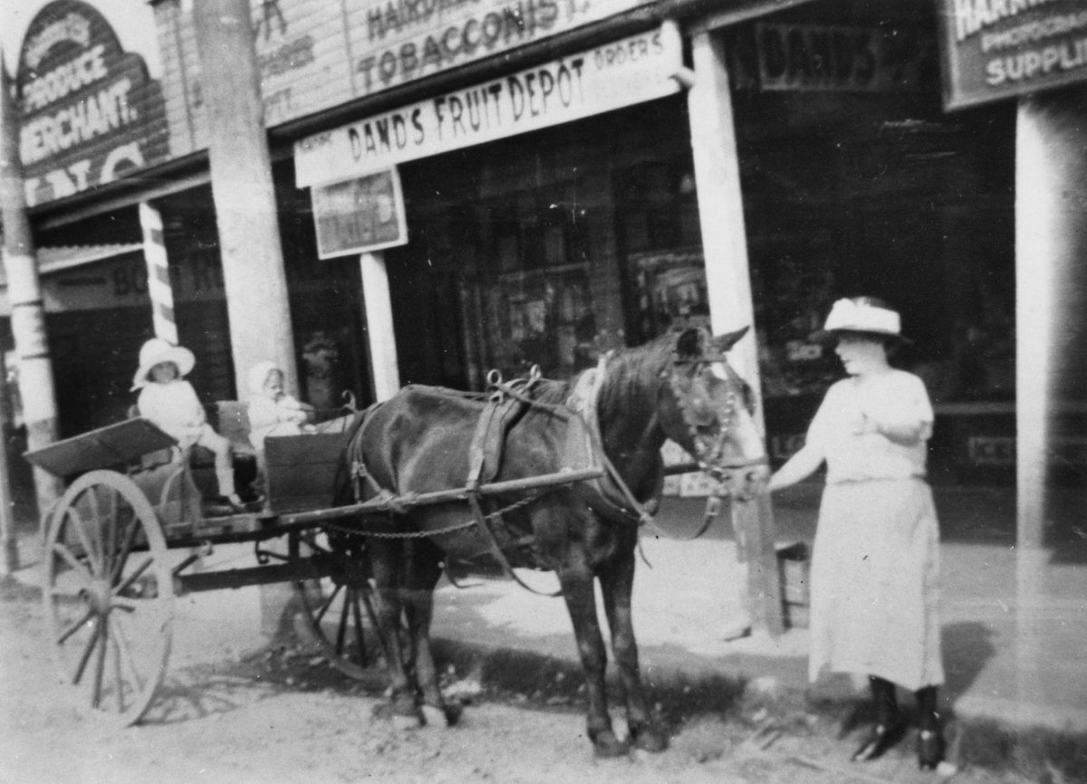 Horse and cart outside Dand's Fruit Depot shop, 1923, Brisbane