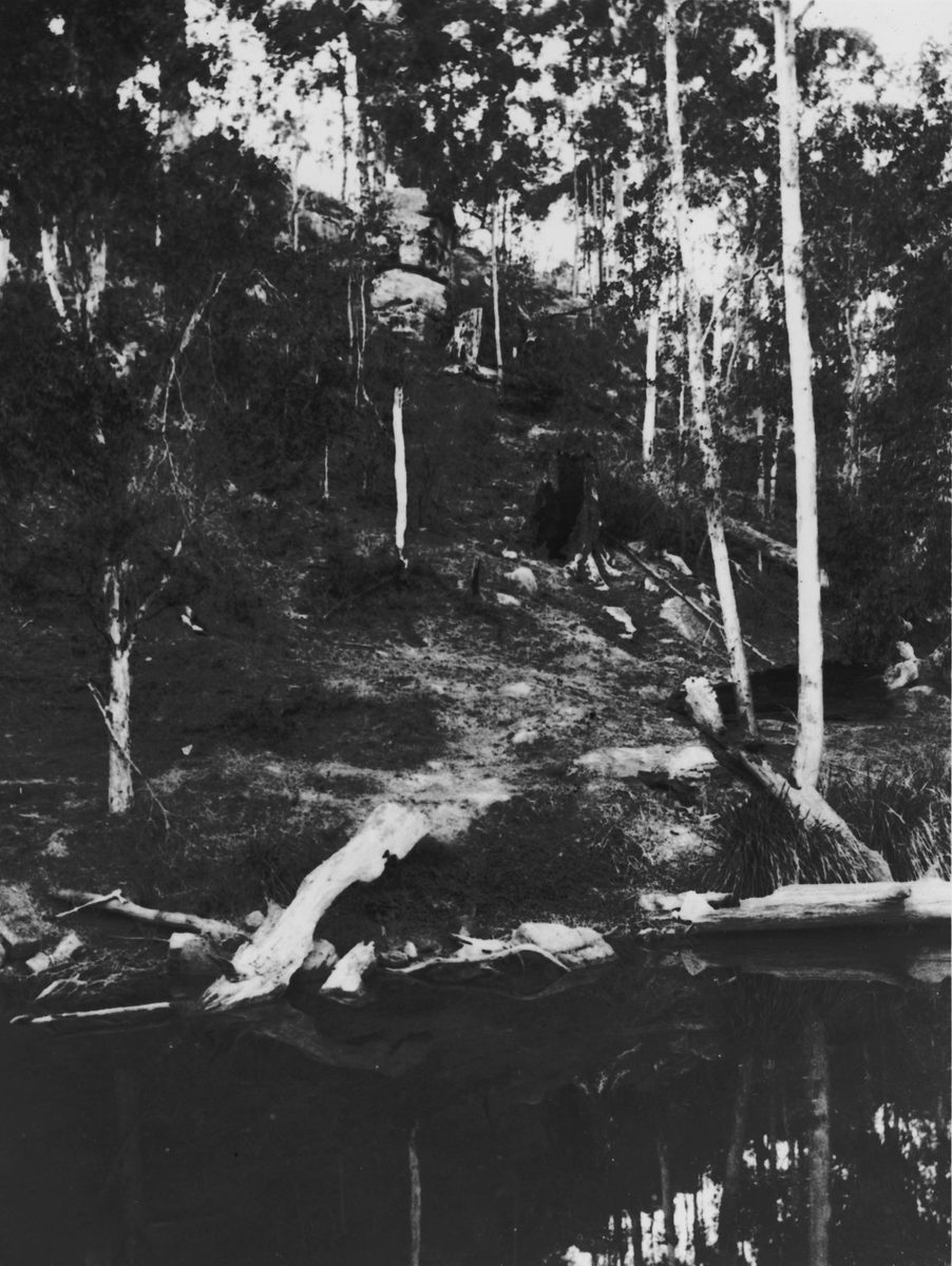 On the banks of Kedron Brook, Toombul, Brisbane, 1900