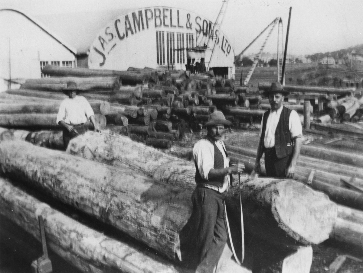 Sawmill owned by James Campbell & Sons at Albion, 1908