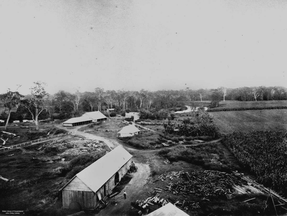 Morayfield Sugar Plantation at Caboolture, 1873
