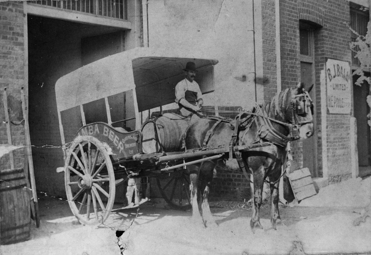Draught horse, Warwick Lass at the doorway of the Queensland Brewery, Fortitude Valley (1913)