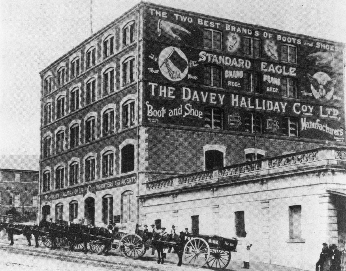 Davey Halliday Company Ltd. on Ann Street, Brisbane City (1904)