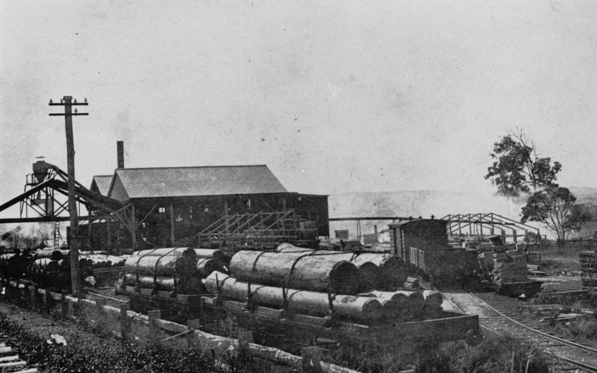 Loaded wagons of timber at Lahey's Sawmill, Sherwood, 1910