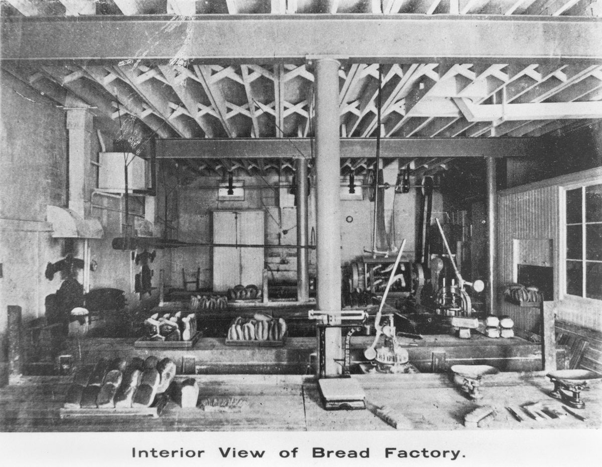 D. Webster's bread factory, Brisbane, Queensland (1901)