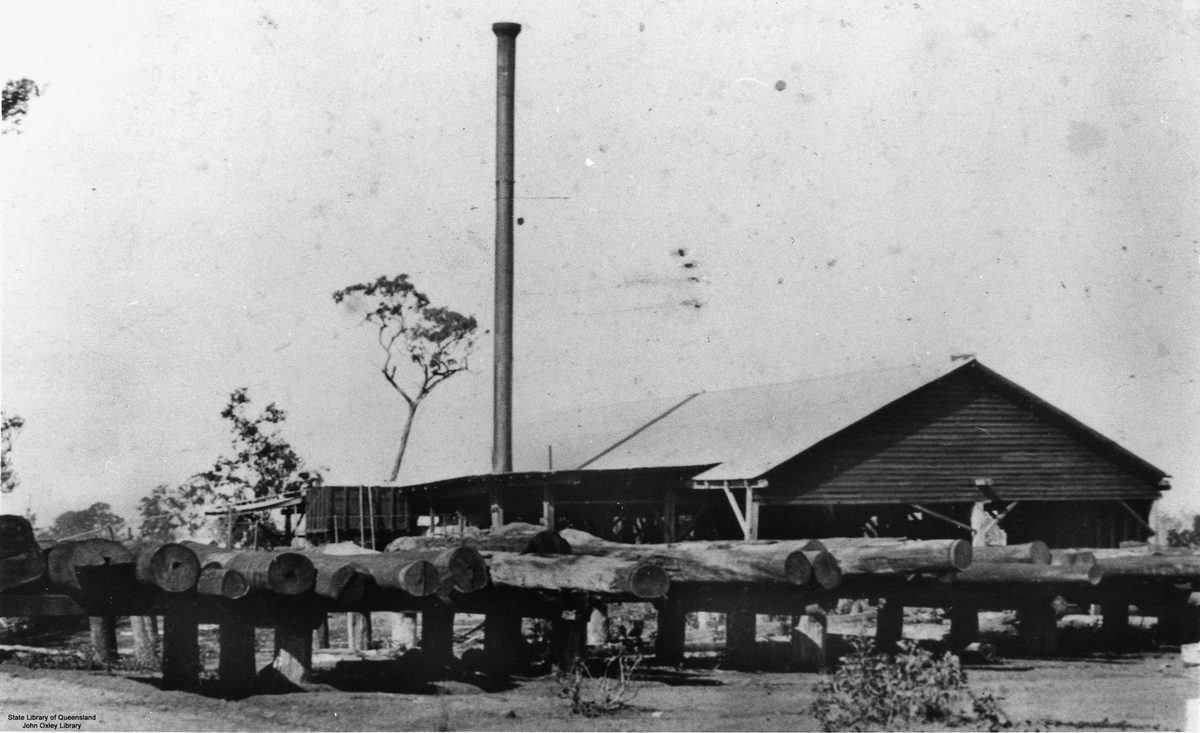 Johnson's Sawmill at Caboolture, Queensland, 1920