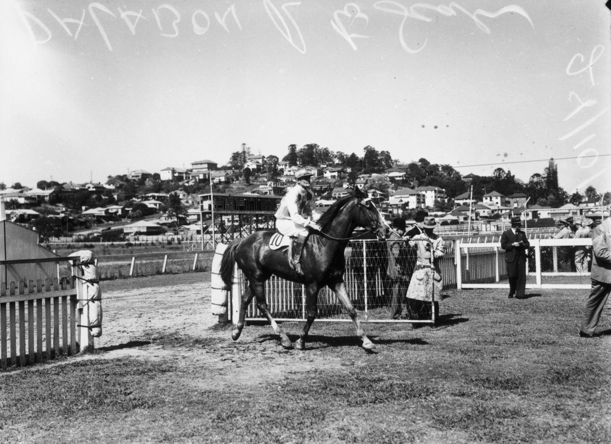 Palabon coming back to scale at Albion Park, 1944