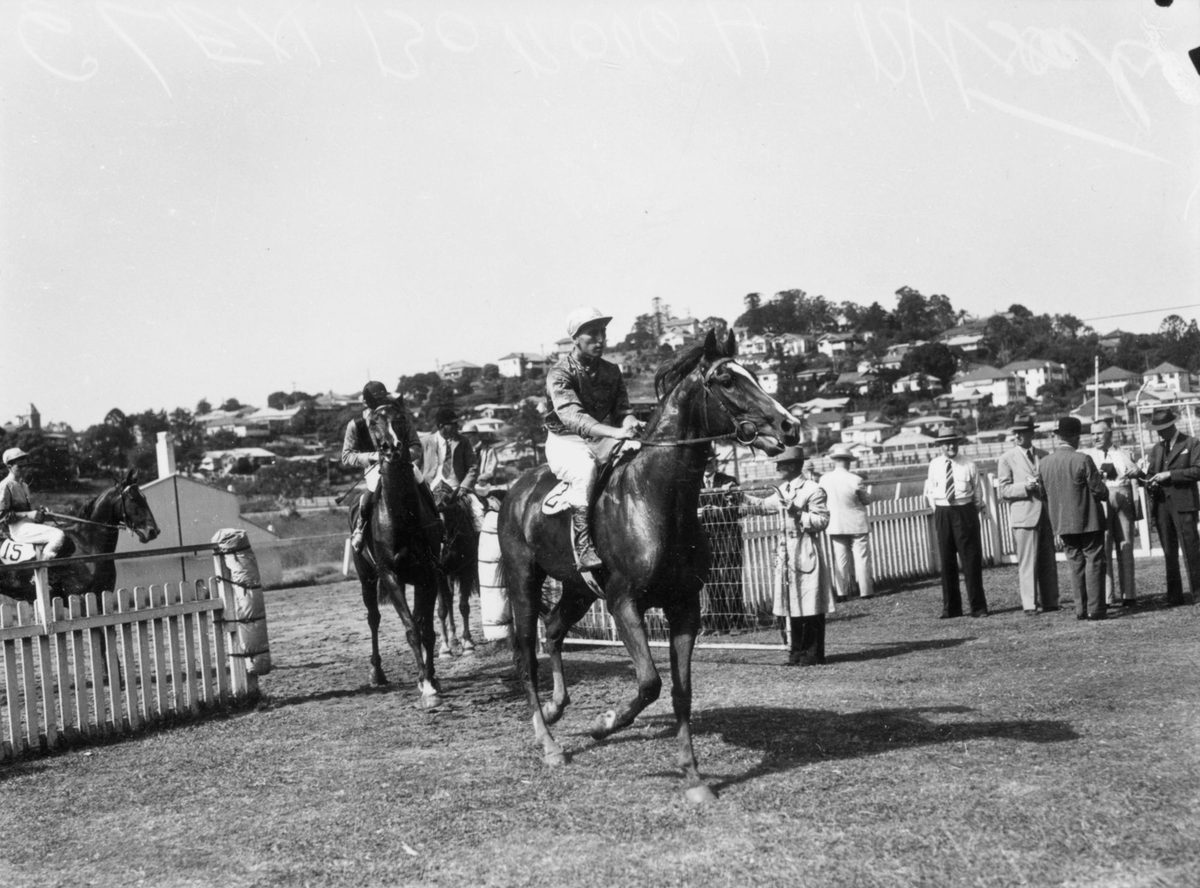 Returning to the mounting yard after a win at Albion Park, Brisbane, 1945