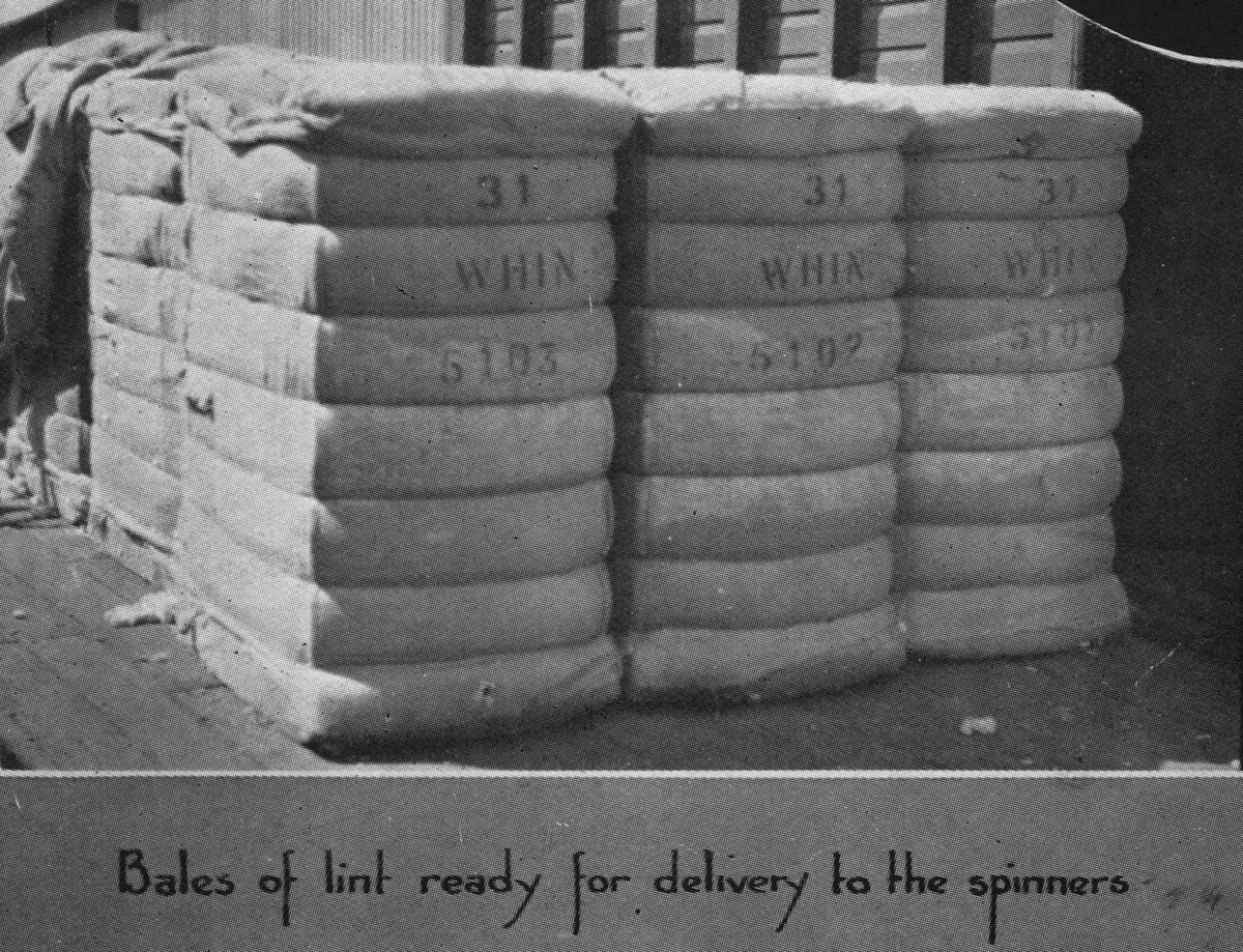 Processed bales of cotton lint, Brisbane, 1931