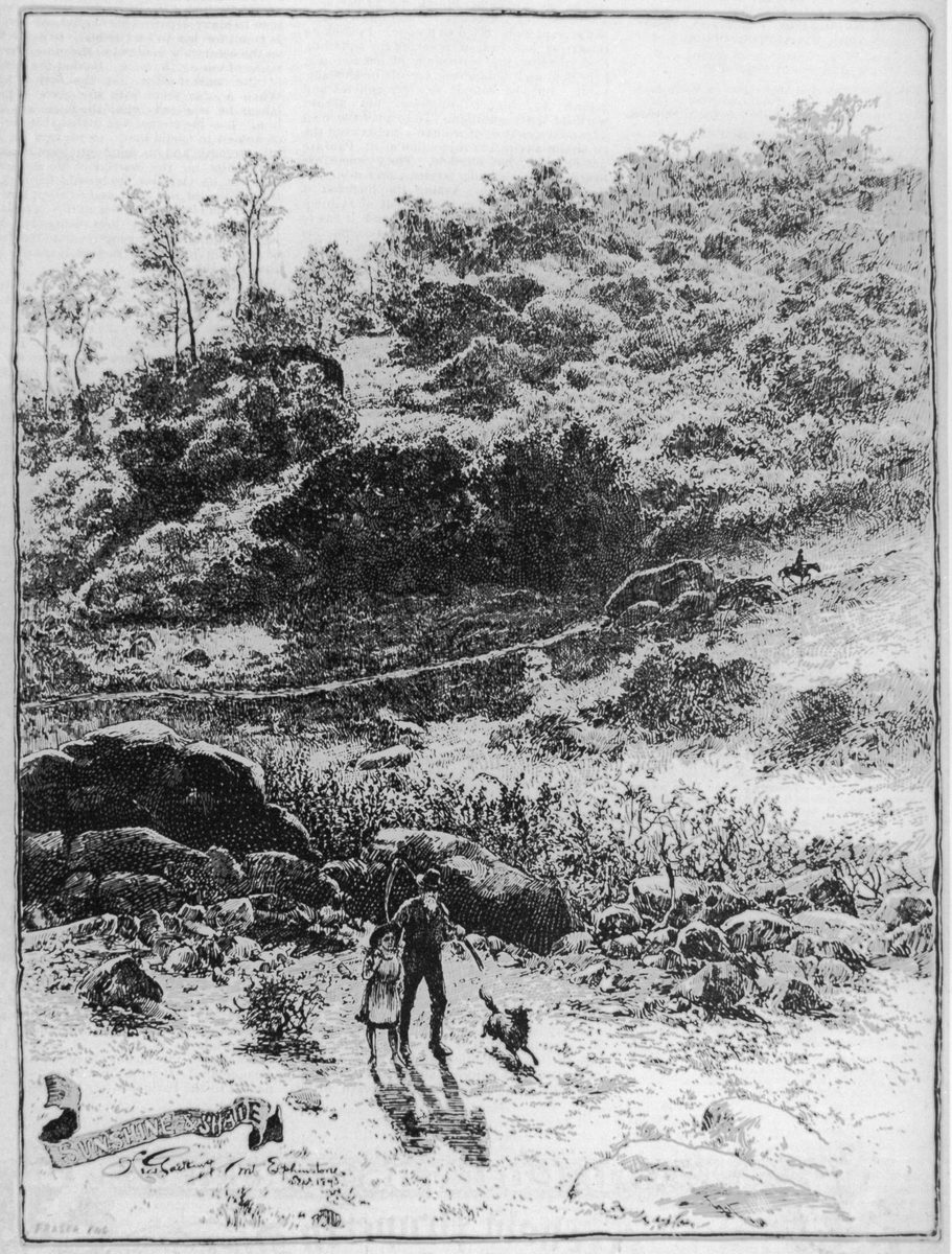 Sunshine and shade on Mount Elphinstone, Brookfield, Brisbane, 1893