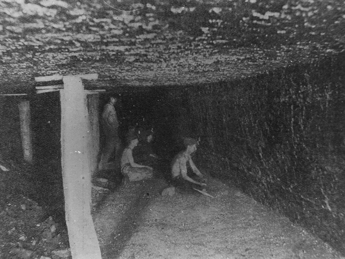 Miners at work underground at the Rhondda Colliery, Ipswich, 1905