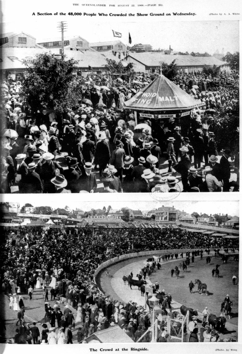 Section of the 48,000 people who crowded the Show Ground and the Crowd at the Ringside, August 1908, Brisbane