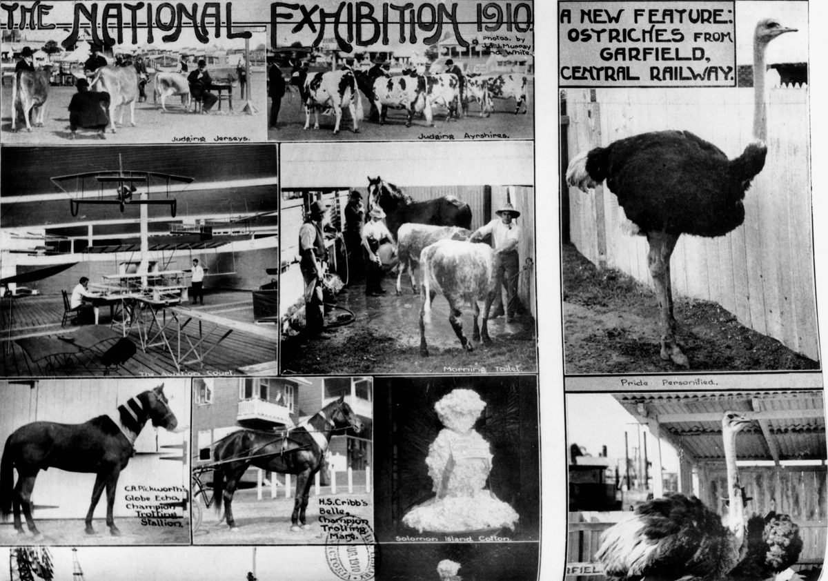 Scenes from the National Exhibition in Brisbane, 1910