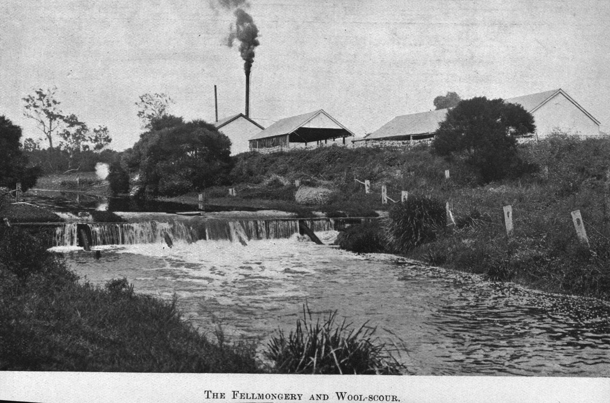 Fellmongery and woolscour works in Murrarie, Queensland, 1908, Murarrie