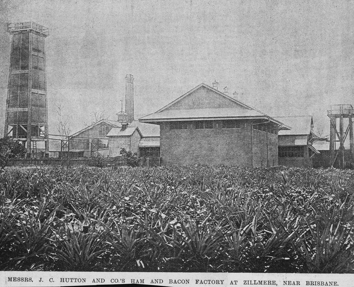 Hutton's Ham and Bacon Factory in Zillmere, 1896